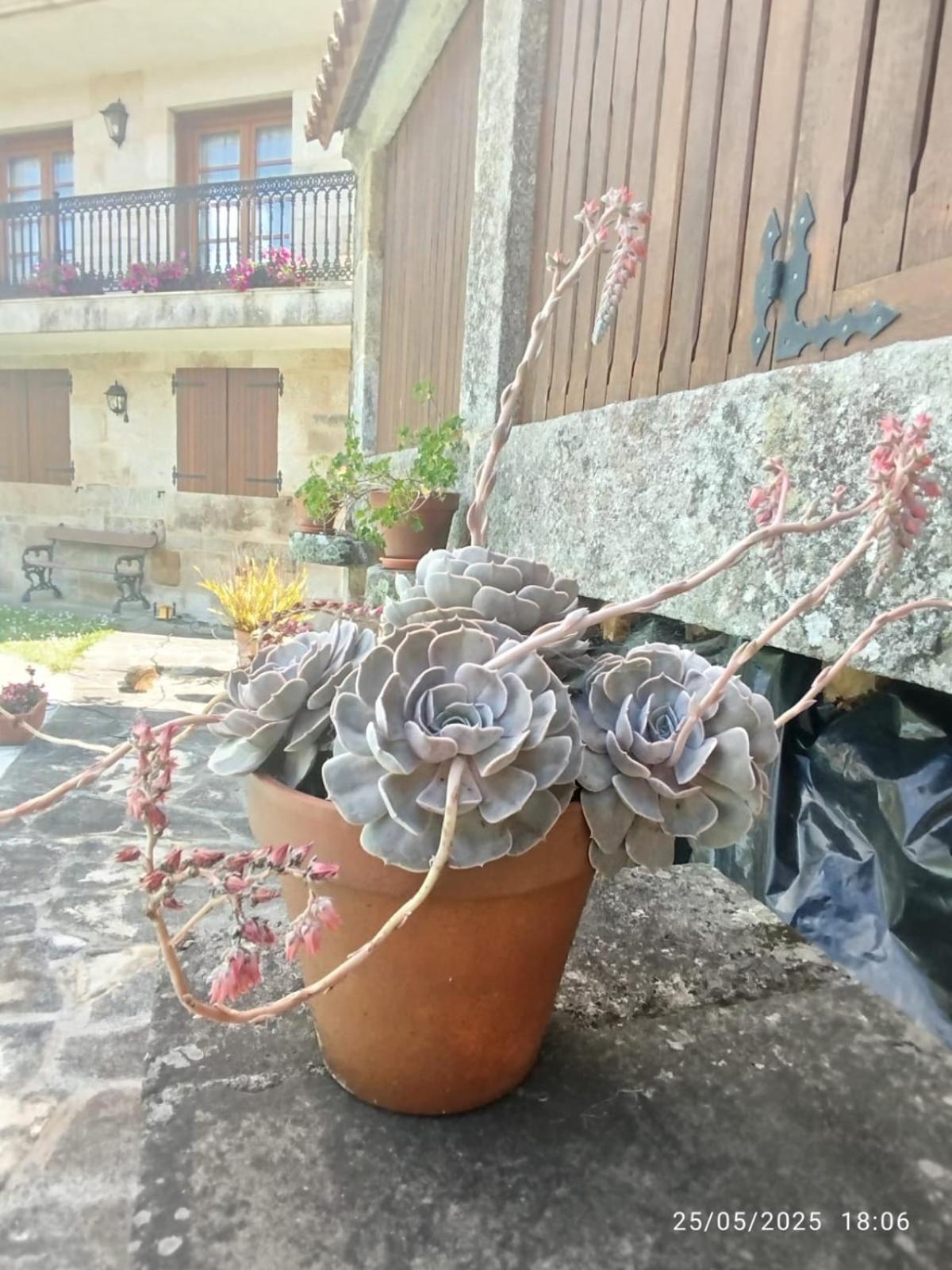 O Apartamento do Xanza, ideal para parejas ADAPTADO MOVILIDAD REDUCIDA Meis Exterior foto